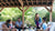 Backyard Improvements That Add Value: Gazebos, Pavilions & More