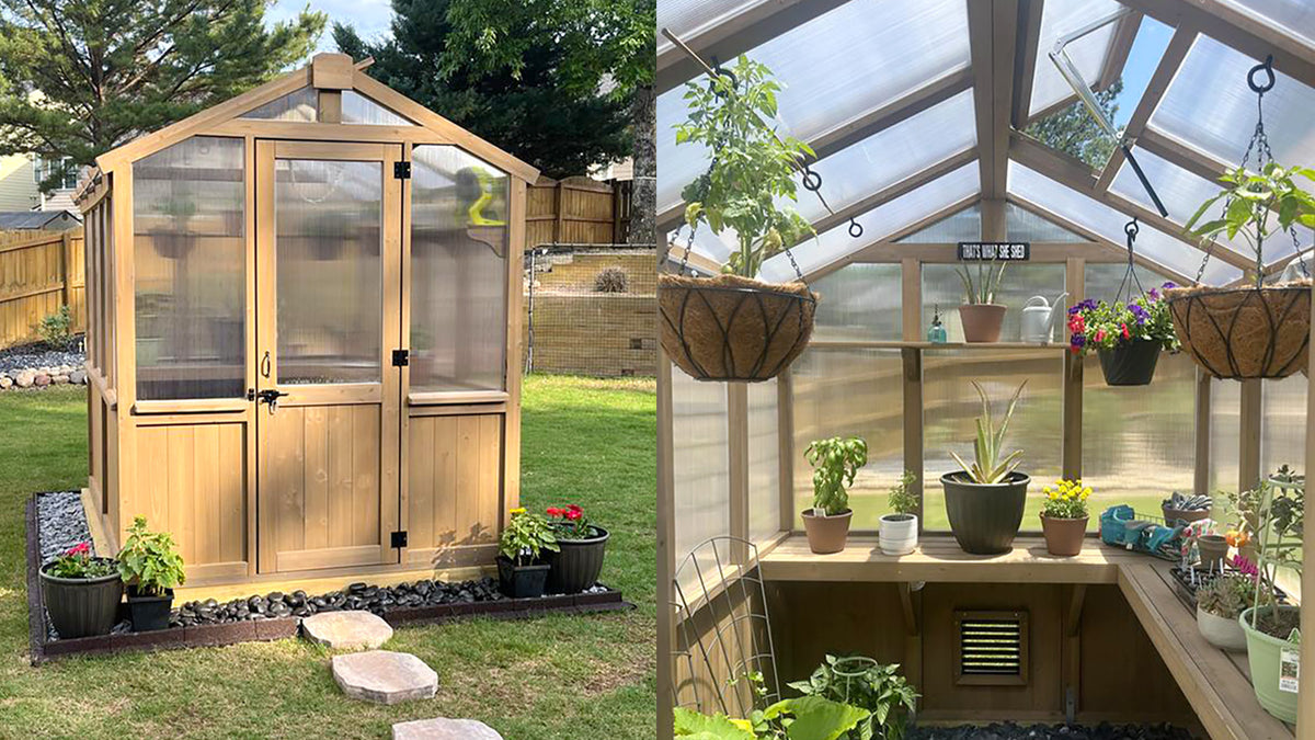 Solid Greenhouse