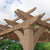 Pergola 12 x 12